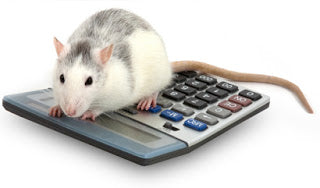 Oh, Rats! - Age calculator