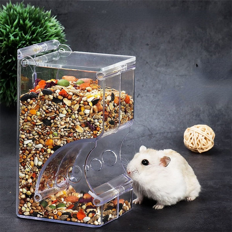 Rat Food Dispenser