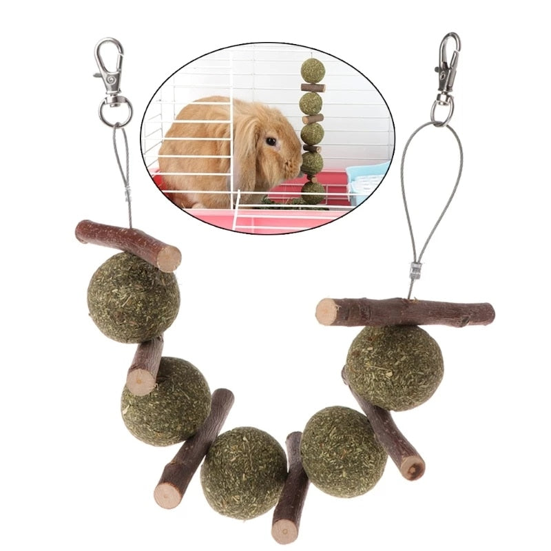 Wooden Tooth Grinding Toys for Rats