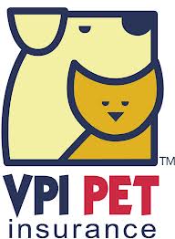Pet Insurance For Rats- Worth It?