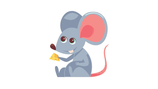 baby rat