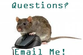 Q & A- Treating Lice on Baby Rats